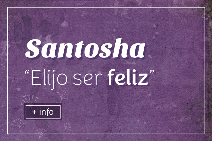 VB10 Santosha valores