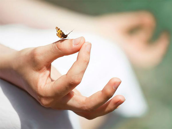 Nuevos cursos de Yoga Nidra y meditación