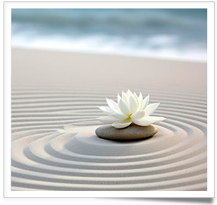 meditacion2 web