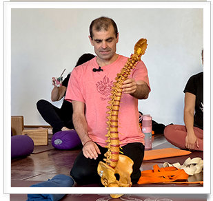 profundizacion 2026 b