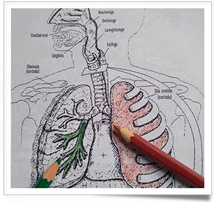 respiración2