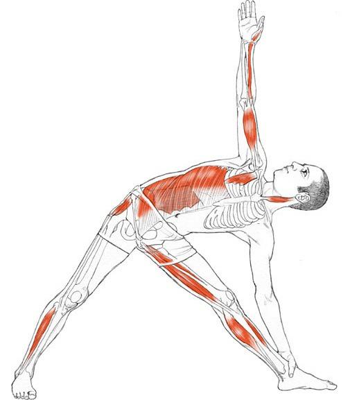 Uttihita Trikonasana 1